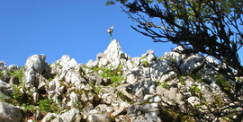 Travesía: Pto. de Lizarrusti - Putxerri (Puttarri)- Lakuntza [Navarra]